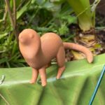 575089417 1550455892764585 5326917589967403769 n