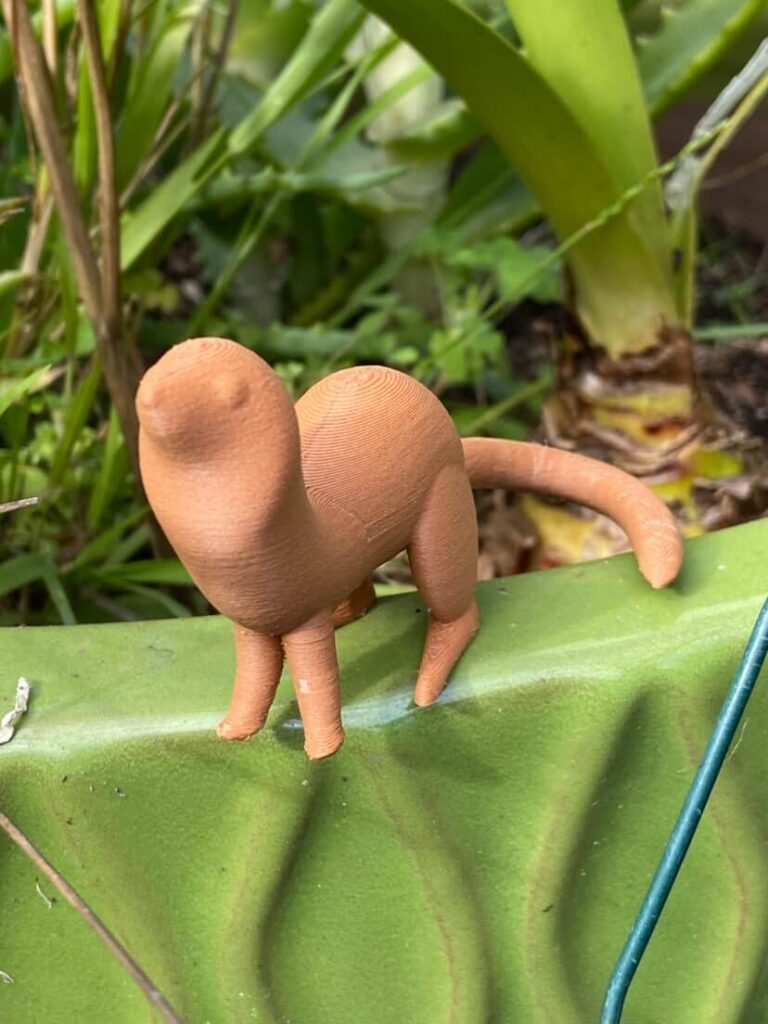 575089417 1550455892764585 5326917589967403769 n